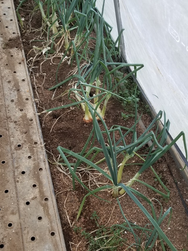 20230110_084306_copy_1512x2016