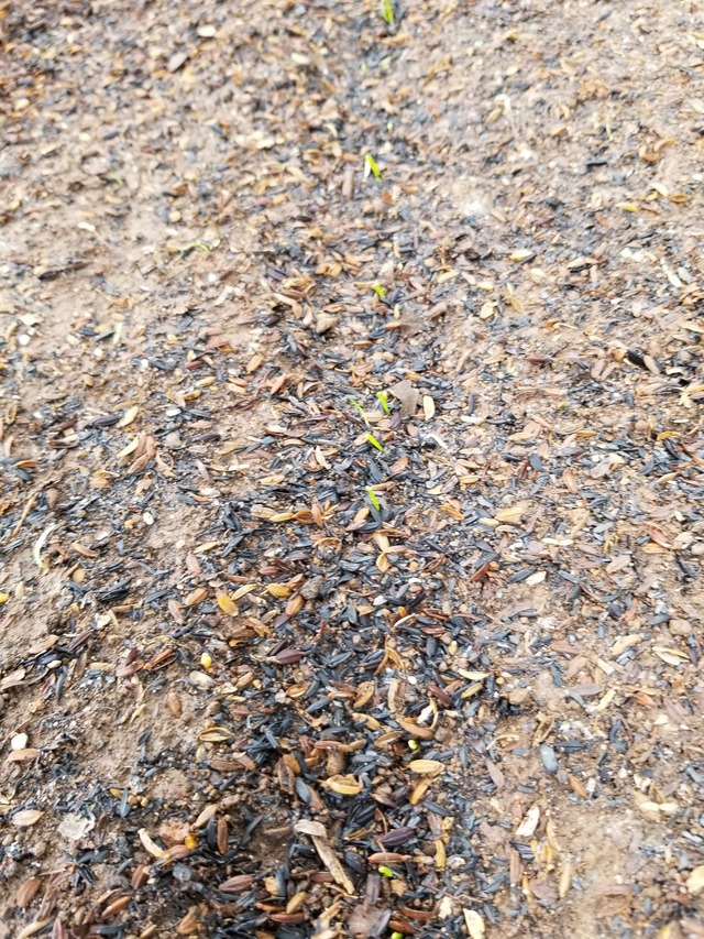 20230806_125928_copy_1512x2016