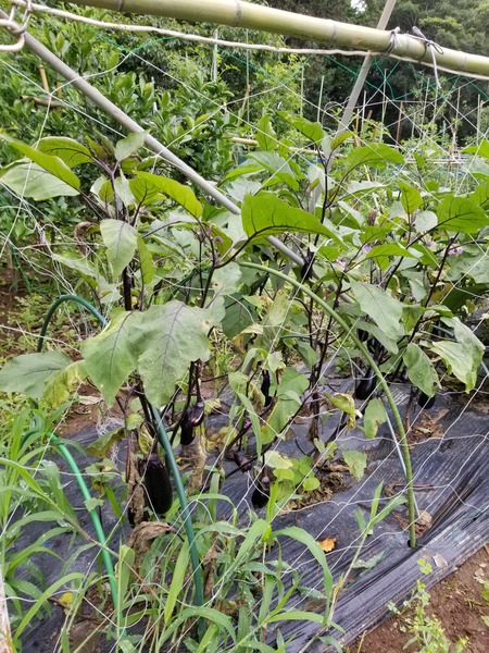 20190707_103453-1620x2160