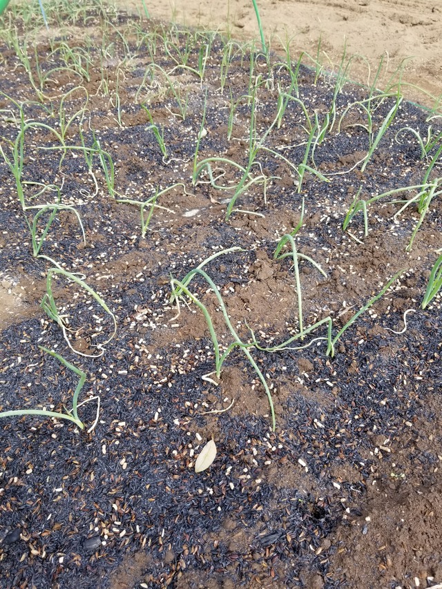 20221028_101940_copy_1512x2016