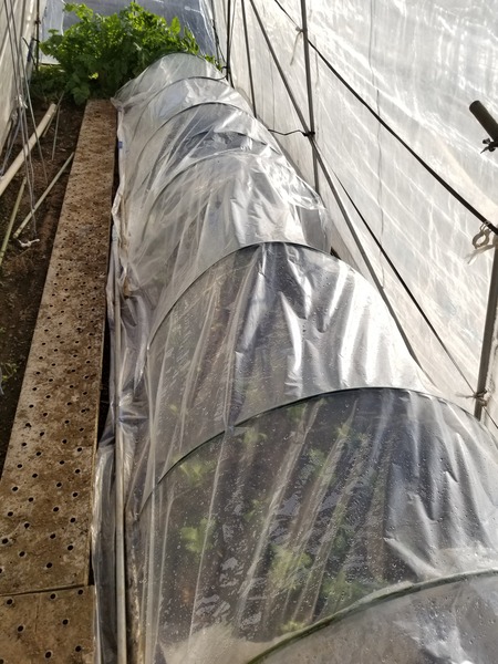 20191228_151227-2268x3024