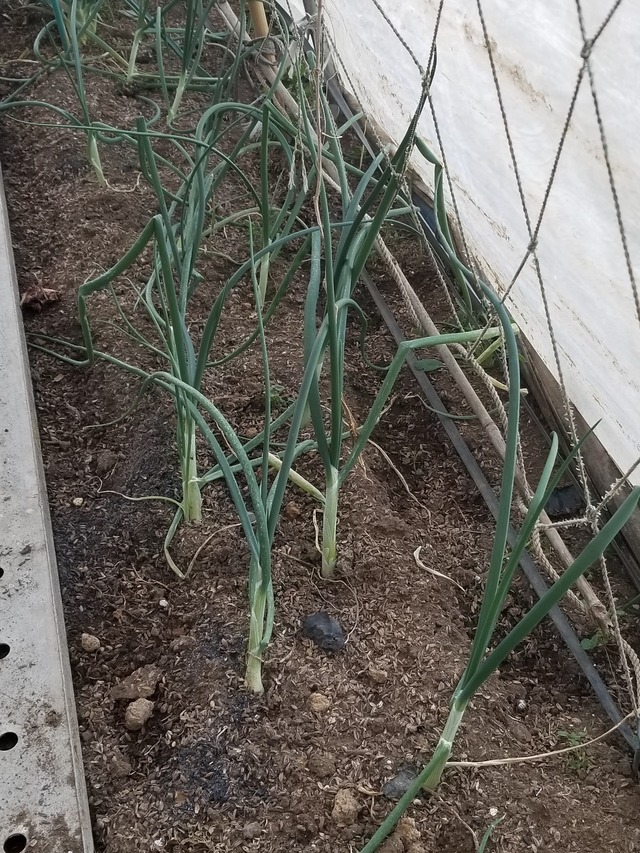 20230110_084040_copy_1512x2016