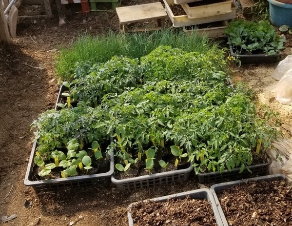 20190413_145853-1600x1200