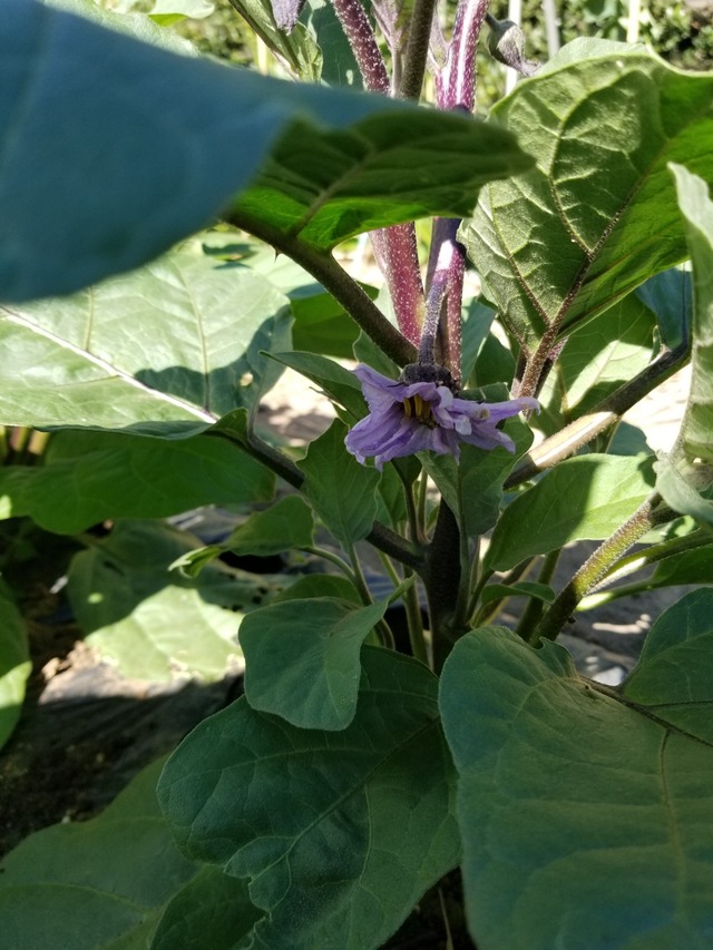 20230730_152902_copy_1512x2016