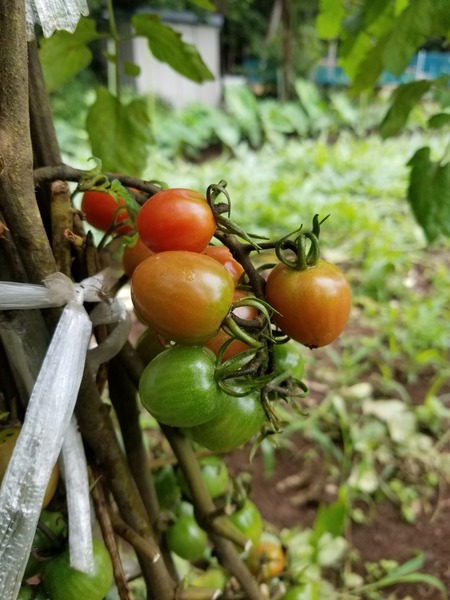 20190707_101018-1620x2160