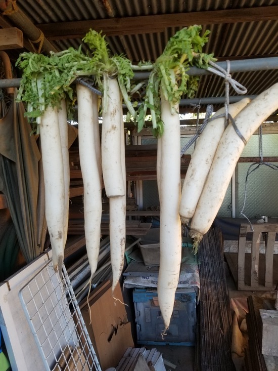 20191204_080826-1620x2160