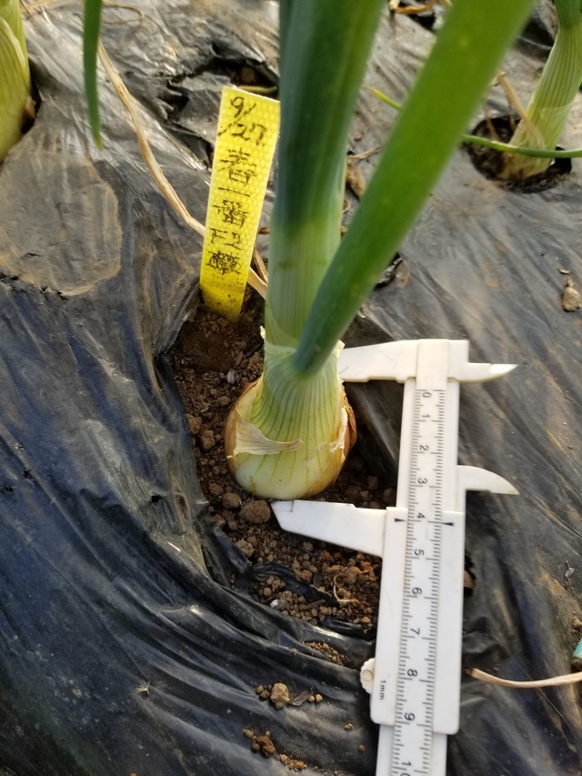 20231210_145345_copy_1512x2016