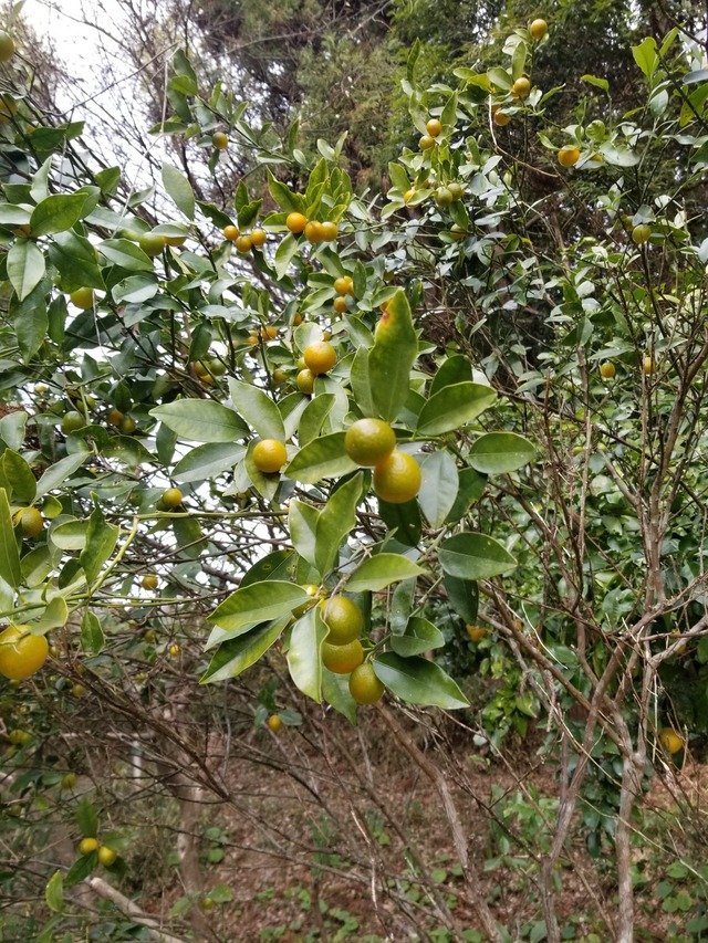 20240103_100603_copy_1512x2016