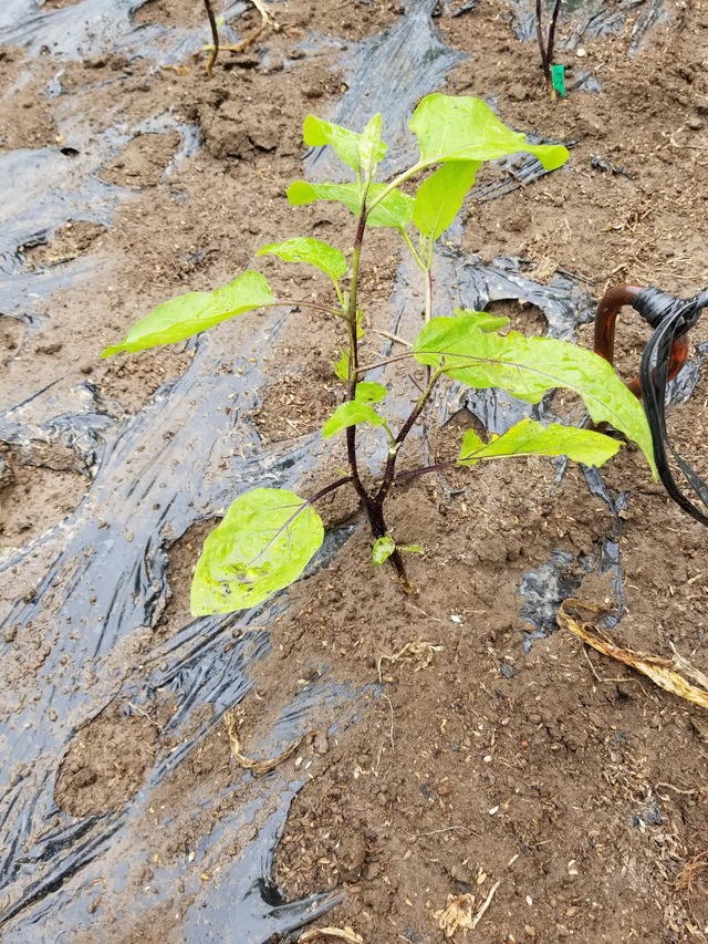 20230630_112350_copy_1512x2016