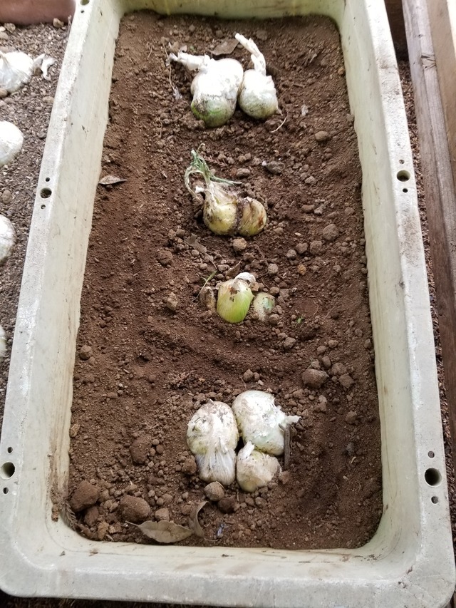 20230615_075831_copy_1512x2016