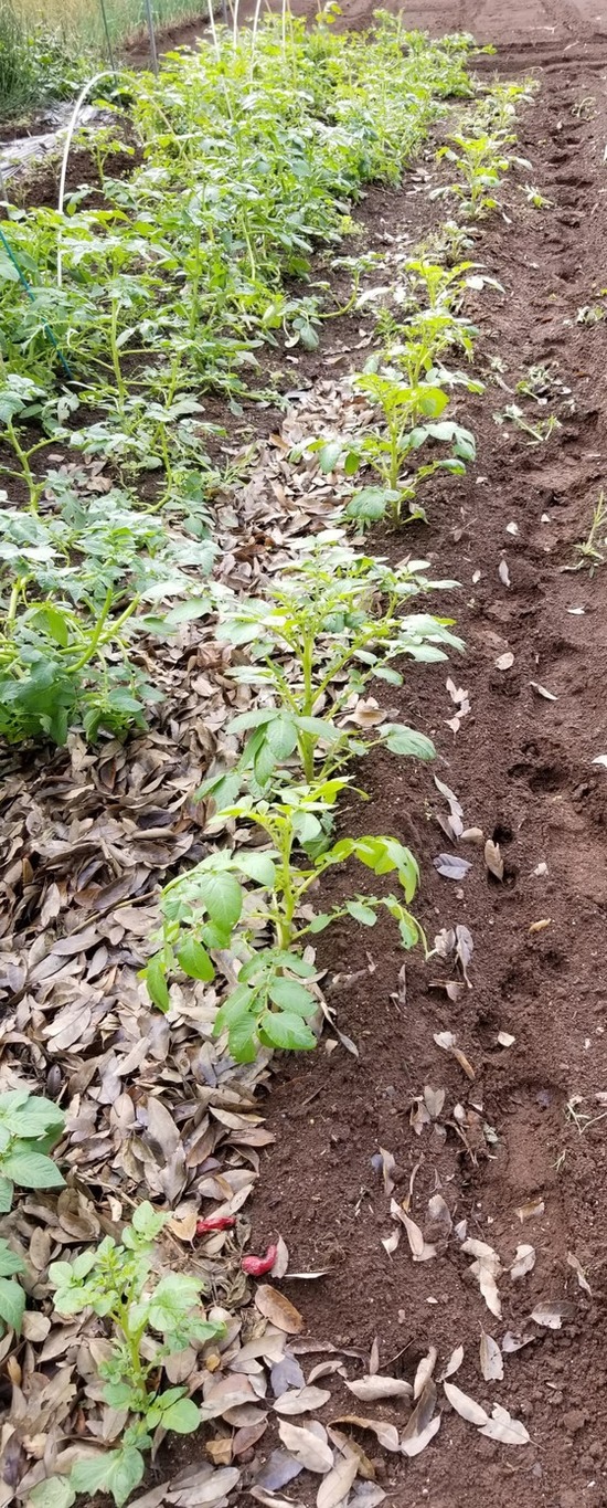 blog_import_5c7d4416c32b3 (1)