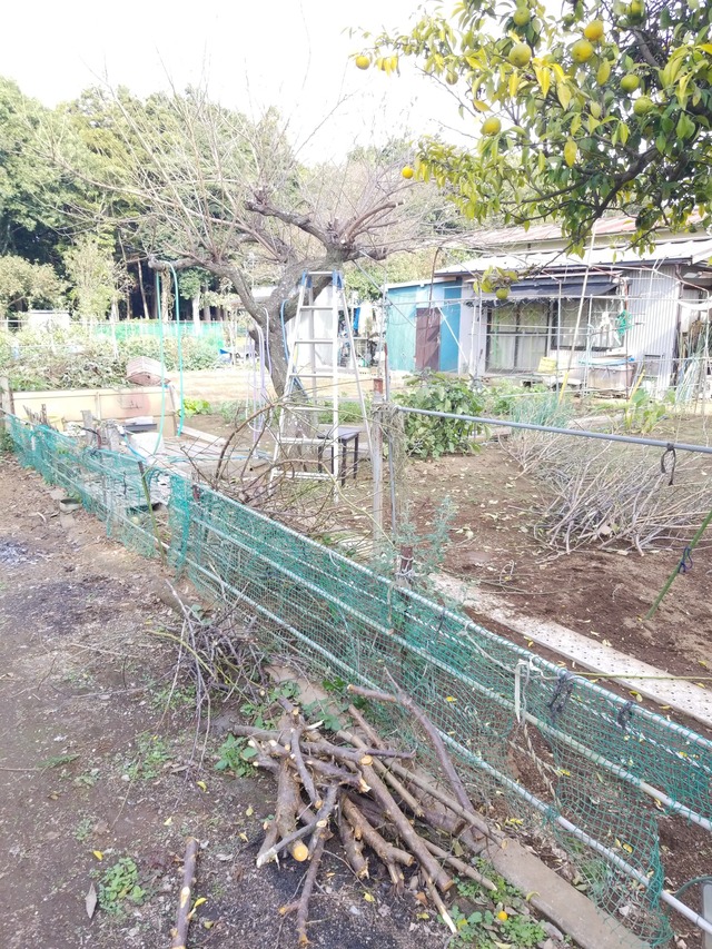 IMG_20231019_133147_copy_1512x2016