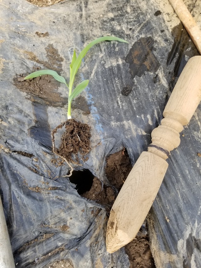 20230320_084836_copy_1209x1612