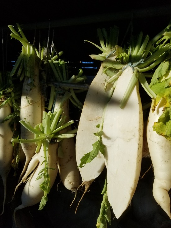 20191204_080850-1620x2160