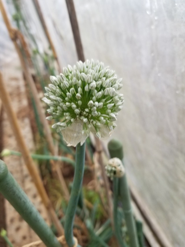 20230426_080015_copy_1512x2016