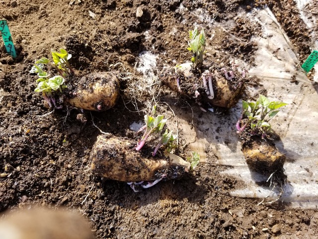 20230311_144228_copy_1612x1209