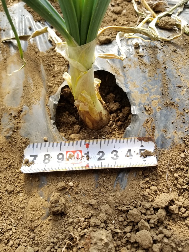 20220128_115523_copy_2268x3024