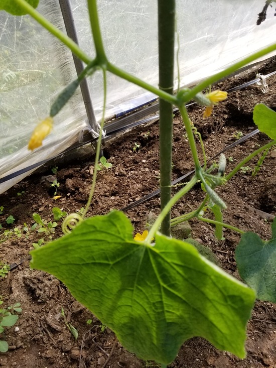 20191013_105116-1620x2160