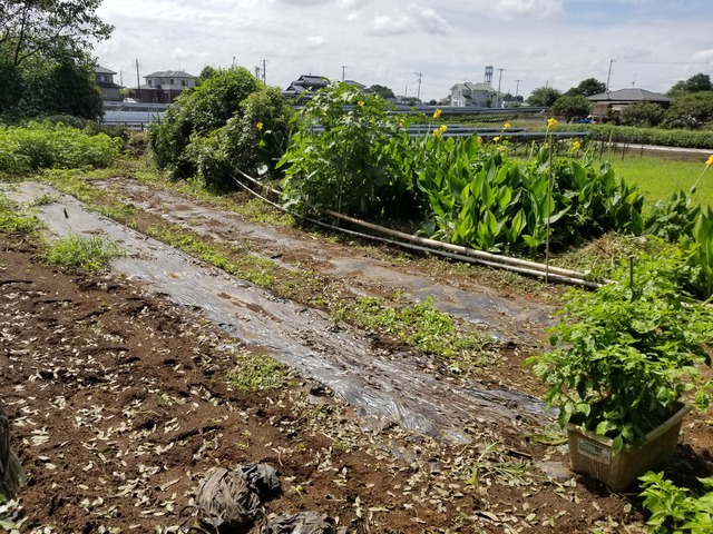 20210910_105931_copy_3024x2268