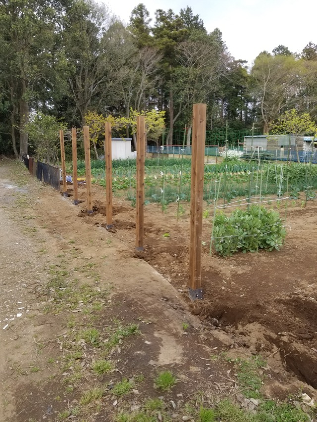 20200417_164932_copy_2268x3024