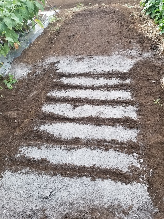 20230801_144329_copy_1512x2016