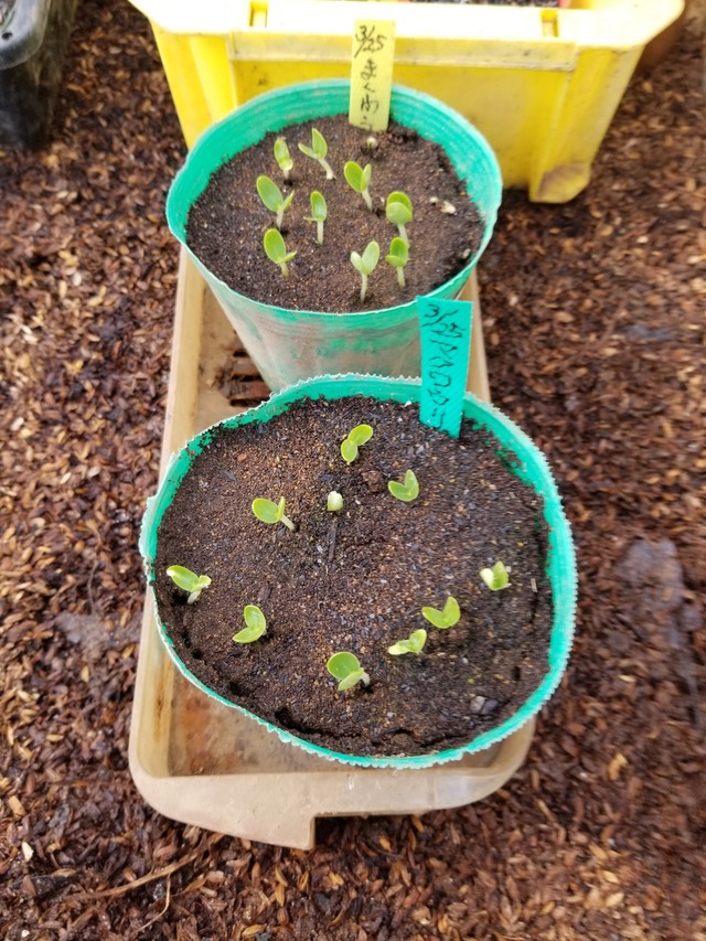 20230331_090442_copy_1512x2016