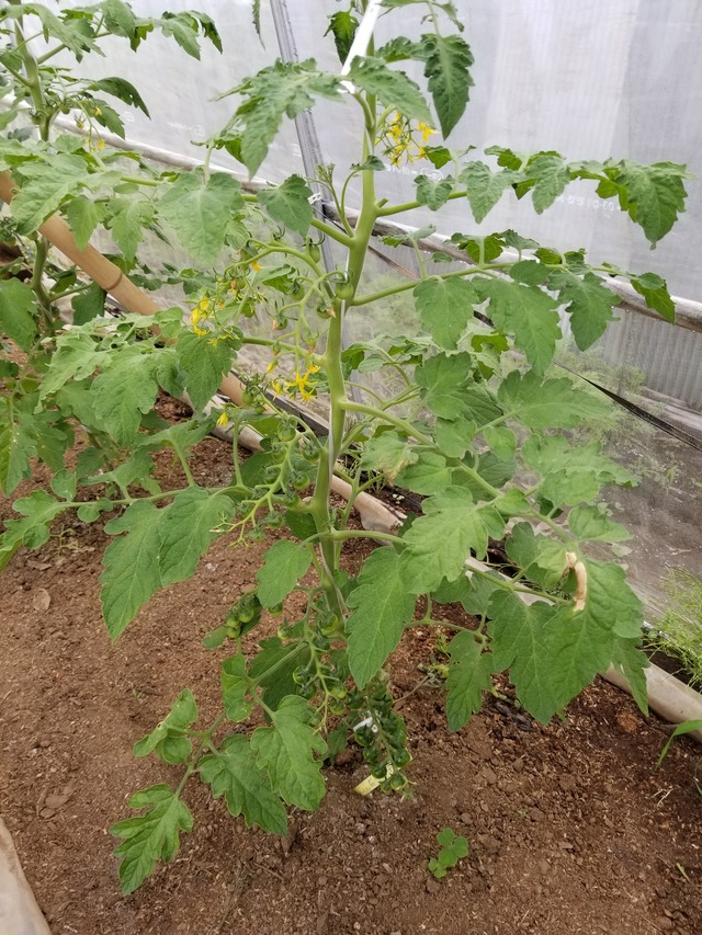 20210601_084202_copy_2268x3024