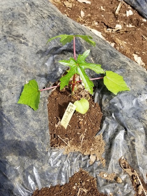 20190515_085506-1620x2160