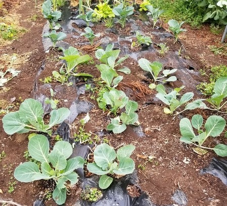 20190408_082455-1200x1600