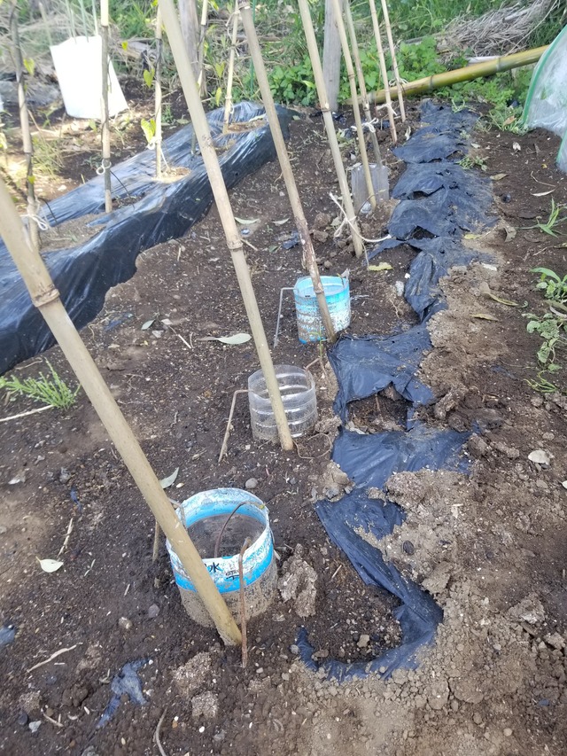 20230510_084941_copy_1512x2016