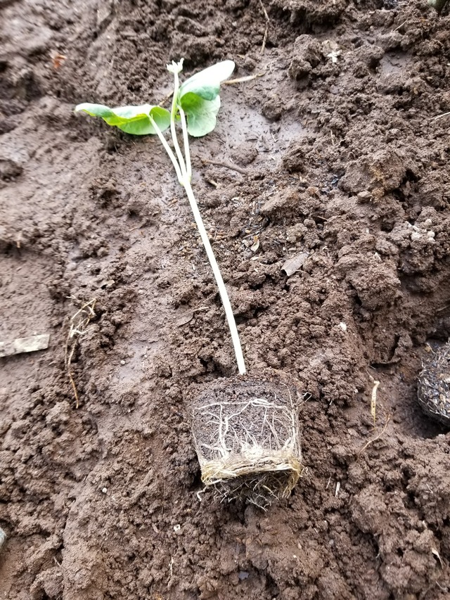 20230731_150631_copy_1512x2016