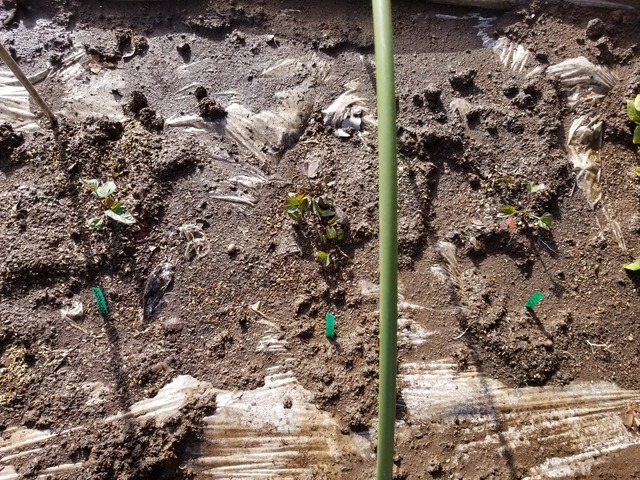 20230311_151156_copy_1612x1209