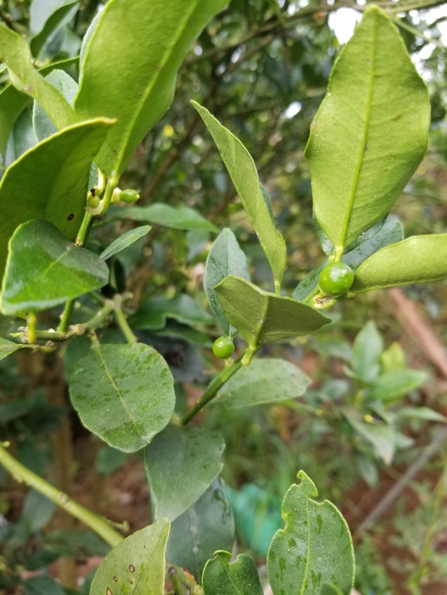 20230823_072627_copy_1512x2016