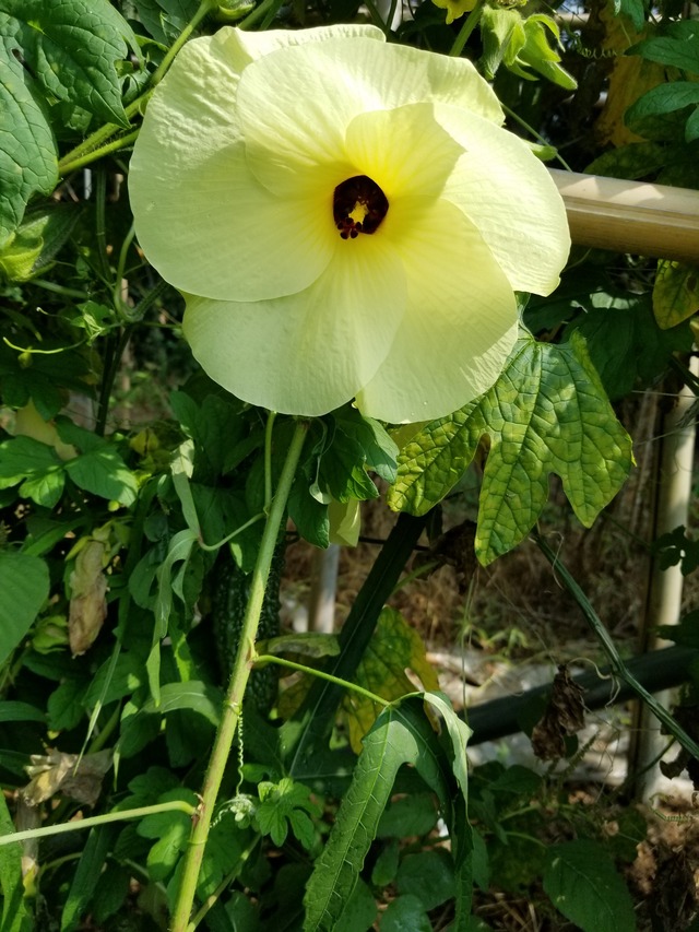 20200817_092002_copy_2268x3024