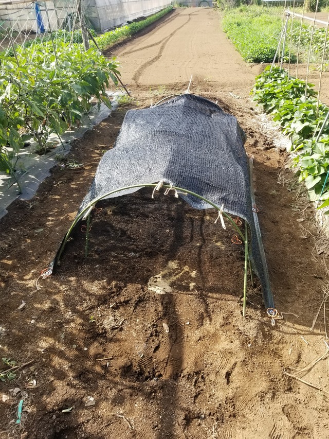 20230802_075935_copy_1512x2016