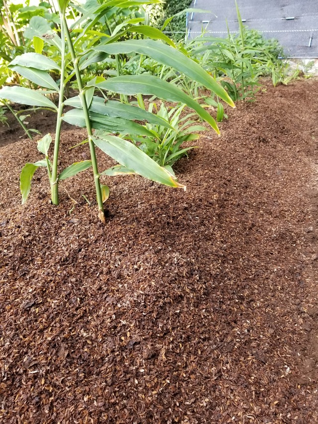 20230802_072541_copy_1512x2016