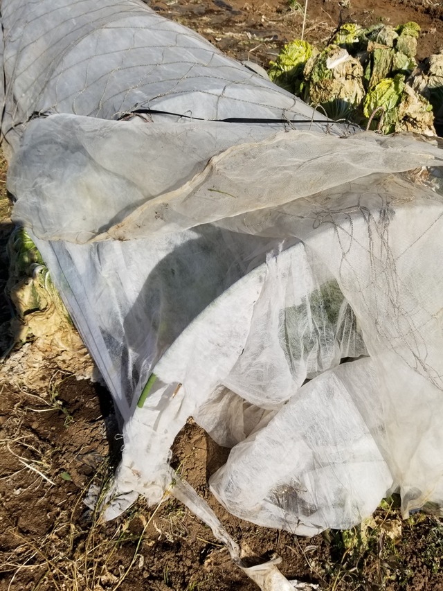 20230107_105304_copy_1512x2016