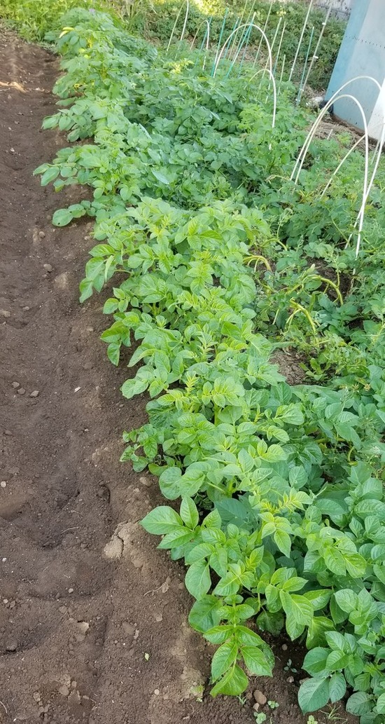 blog_import_5c7d3fbee68b3