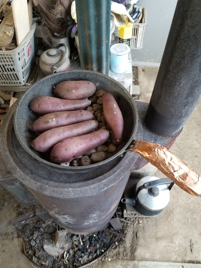 20240201_103402_copy_2268x3024