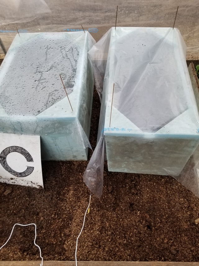 20220322_081237_copy_2268x3024