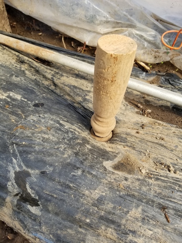 20230320_084916_copy_1209x1612