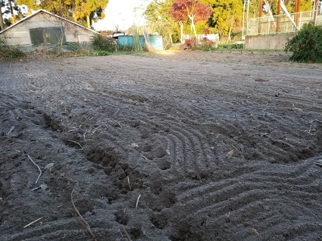 20201215_072642_copy_2268x1701