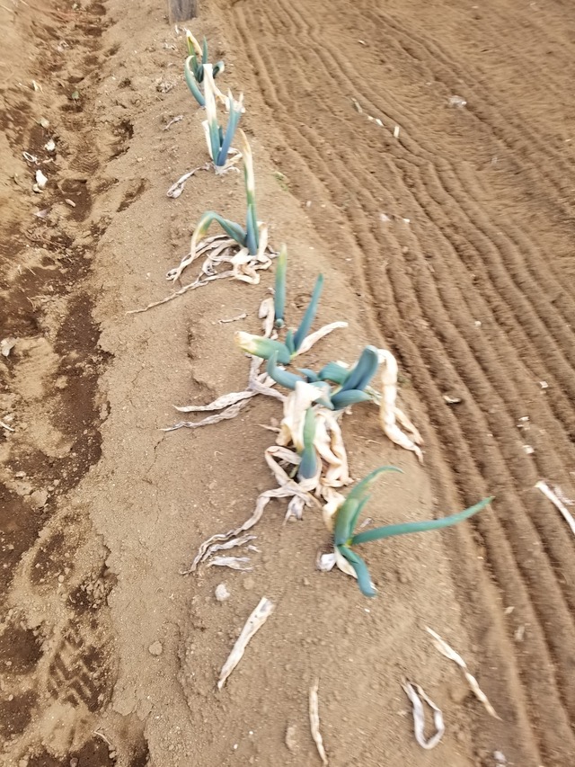 20210208_074210_copy_2268x3024