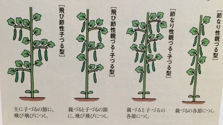 011-e1428936495944 (1)