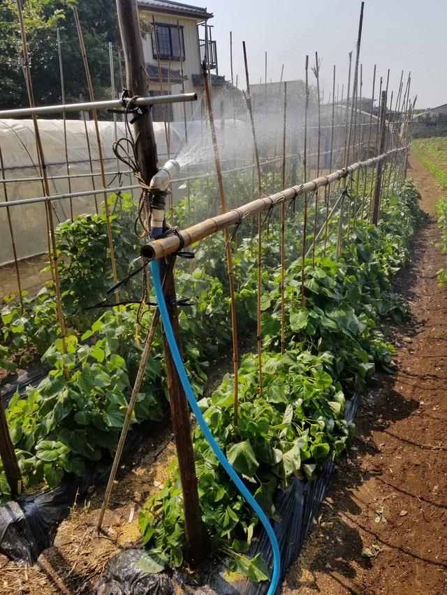 20230727_092139_copy_1512x2016