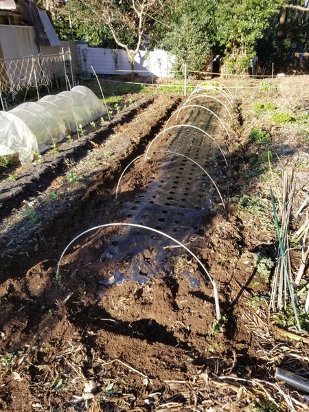 20191228_083642-2268x3024