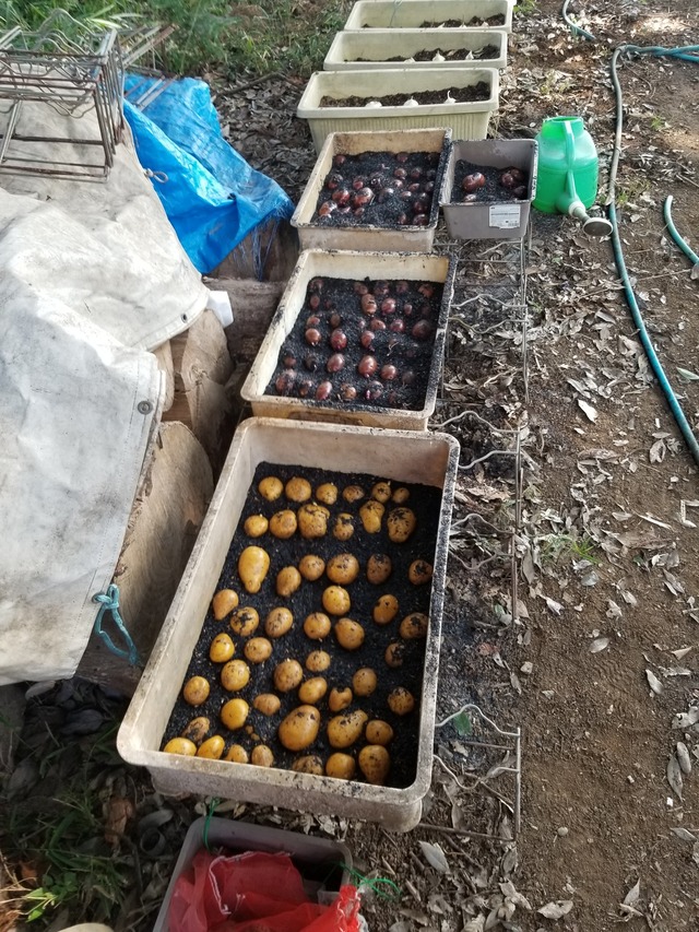 20230820_141530_copy_1512x2016