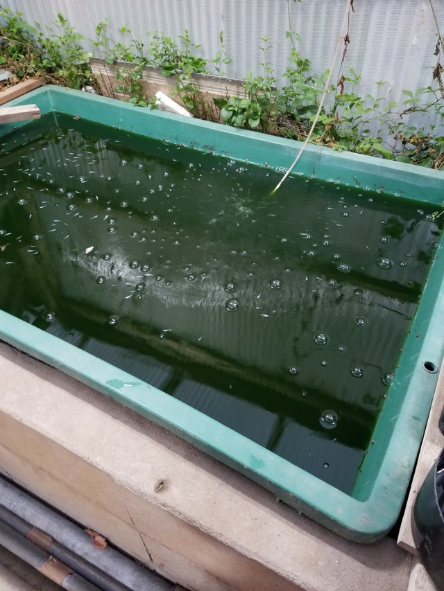 20230825_182133_copy_1512x2016