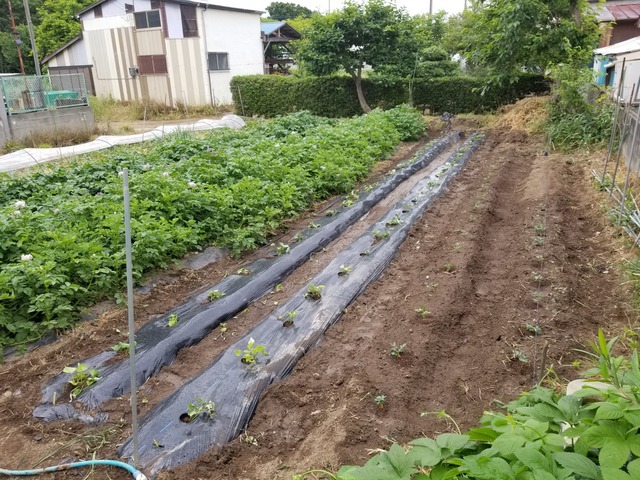 20190603_071138-2160x1620