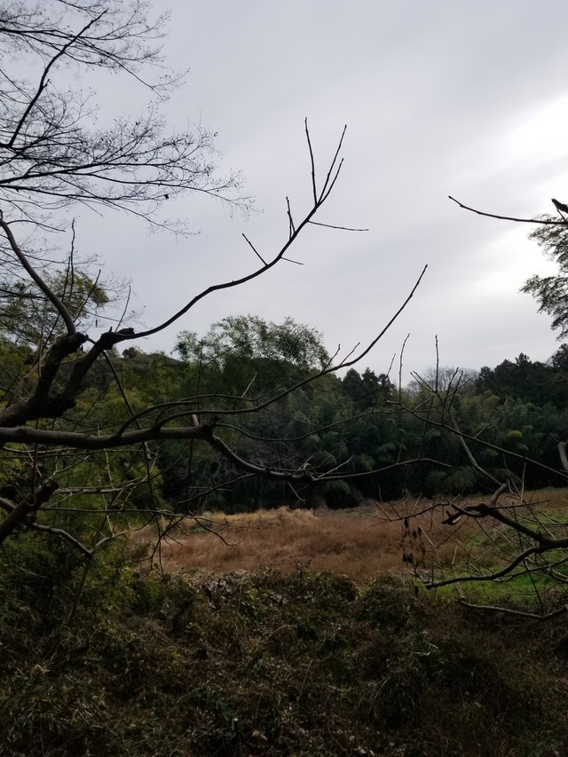 20240103_100741_copy_1512x2016